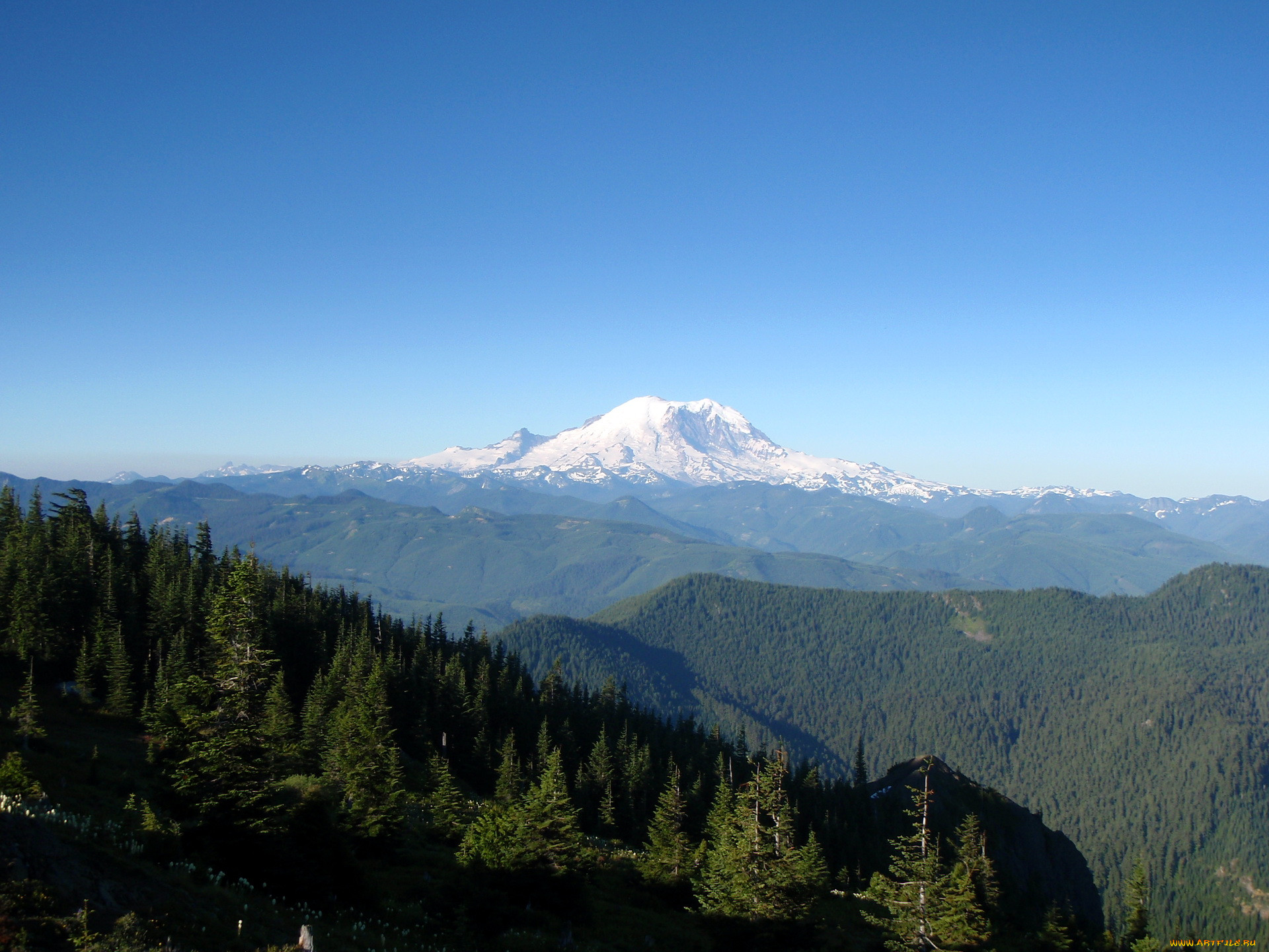 , , washington, usa, national, park, mount, rainier